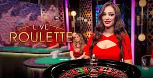 slots16 Everything You Need to Know Before You Start